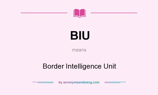 What does BIU mean? It stands for Border Intelligence Unit