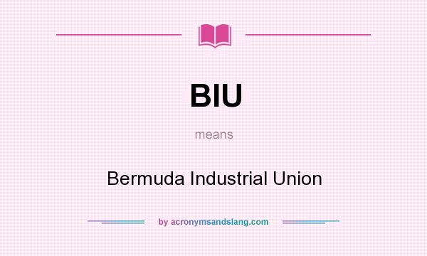 What does BIU mean? It stands for Bermuda Industrial Union