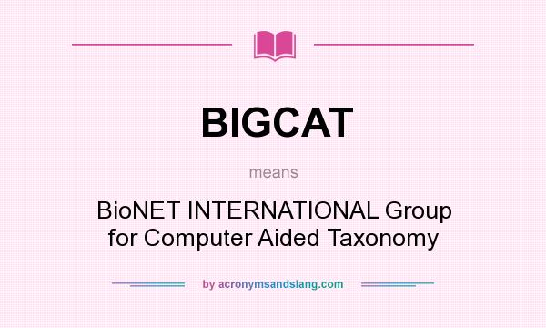 What does BIGCAT mean? It stands for BioNET INTERNATIONAL Group for Computer Aided Taxonomy