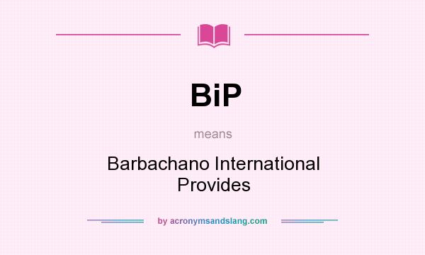What does BiP mean? It stands for Barbachano International Provides