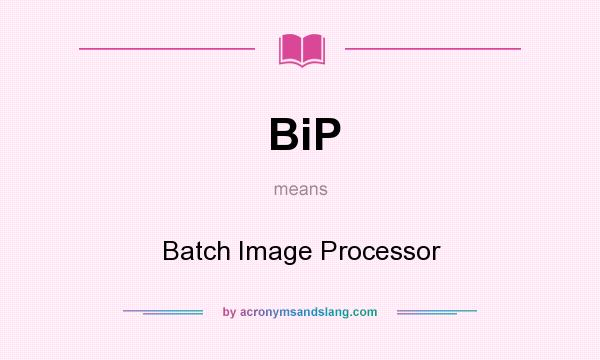 What does BiP mean? It stands for Batch Image Processor