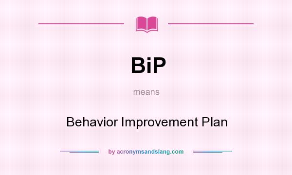 What does BiP mean? It stands for Behavior Improvement Plan