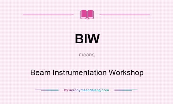 What does BIW mean? It stands for Beam Instrumentation Workshop
