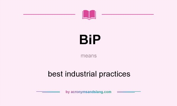 What does BiP mean? It stands for best industrial practices