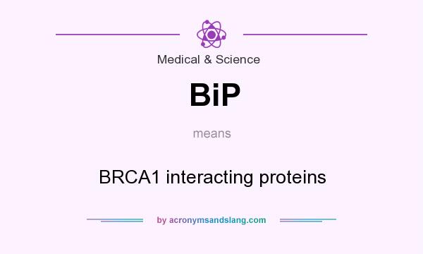 What does BiP mean? It stands for BRCA1 interacting proteins