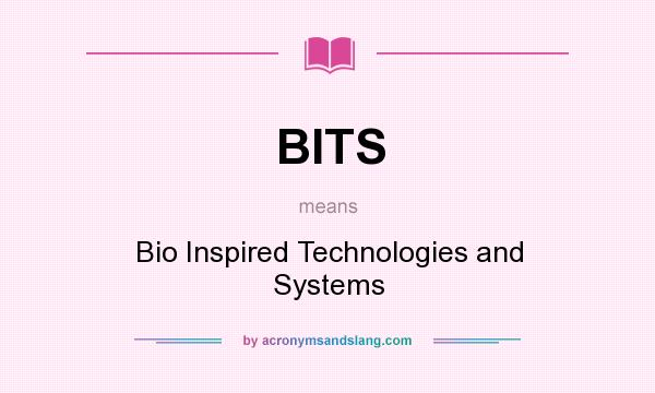 What does BITS mean? It stands for Bio Inspired Technologies and Systems