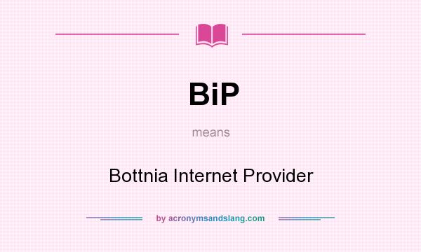 What does BiP mean? It stands for Bottnia Internet Provider