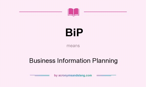 What does BiP mean? It stands for Business Information Planning