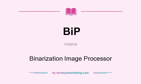 What does BiP mean? It stands for Binarization Image Processor