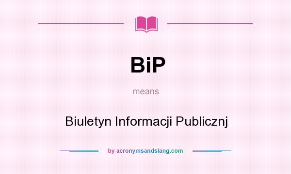 What does BiP mean? It stands for Biuletyn Informacji Publicznj