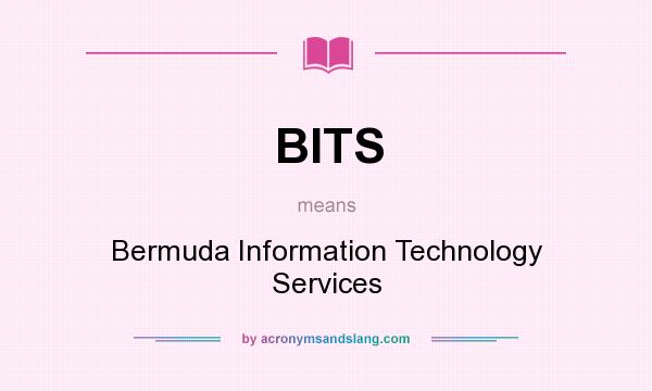What does BITS mean? It stands for Bermuda Information Technology Services