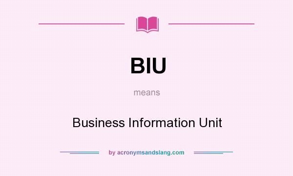 What does BIU mean? It stands for Business Information Unit