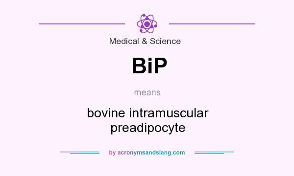 What does BiP mean? It stands for bovine intramuscular preadipocyte