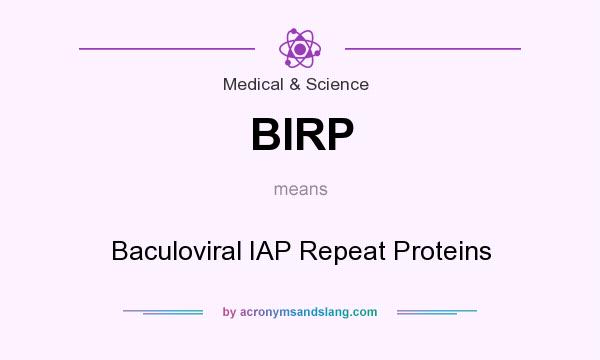 What does BIRP mean? It stands for Baculoviral IAP Repeat Proteins