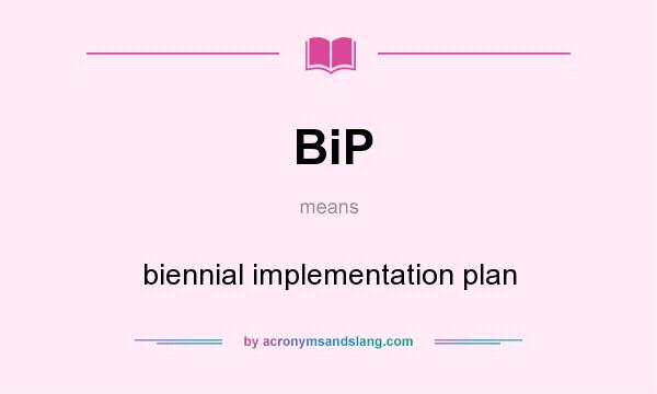 What does BiP mean? It stands for biennial implementation plan