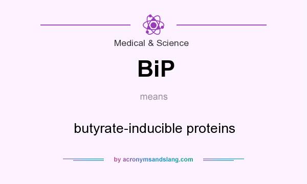 What does BiP mean? It stands for butyrate-inducible proteins