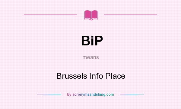What does BiP mean? It stands for Brussels Info Place