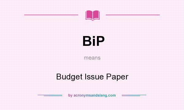 What does BiP mean? It stands for Budget Issue Paper