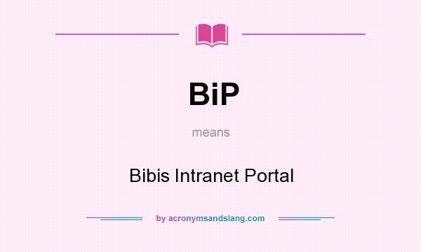 What does BiP mean? It stands for Bibis Intranet Portal