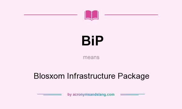 What does BiP mean? It stands for Blosxom Infrastructure Package