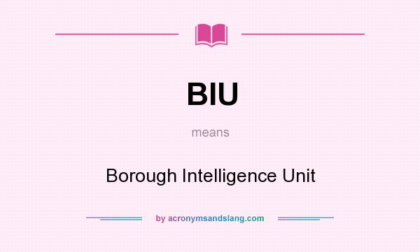 What does BIU mean? It stands for Borough Intelligence Unit