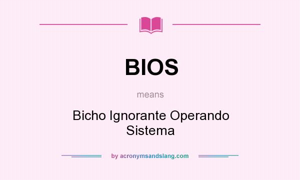 What does BIOS mean? It stands for Bicho Ignorante Operando Sistema