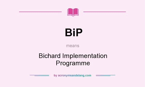 What does BiP mean? It stands for Bichard Implementation Programme