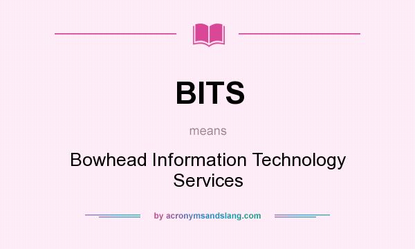 What does BITS mean? It stands for Bowhead Information Technology Services