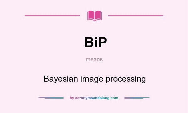 What does BiP mean? It stands for Bayesian image processing