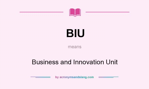What does BIU mean? It stands for Business and Innovation Unit