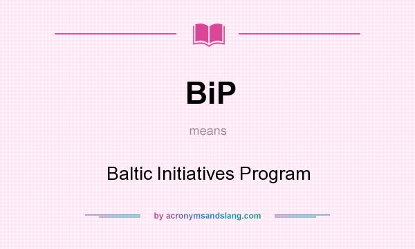 What does BiP mean? It stands for Baltic Initiatives Program