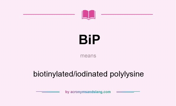 What does BiP mean? It stands for biotinylated/iodinated polylysine