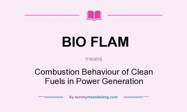 What does BIO FLAM mean? It stands for Combustion Behaviour of Clean Fuels in Power Generation