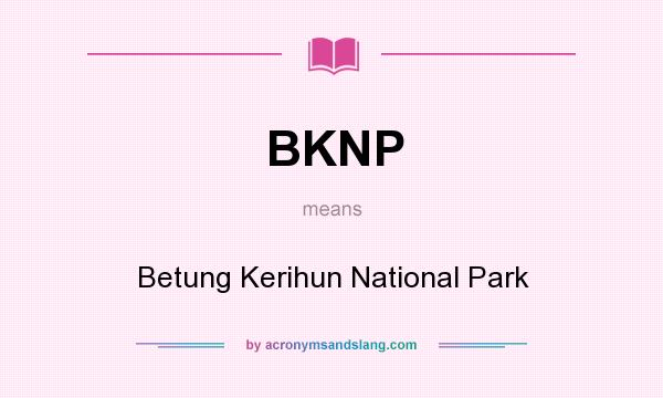 What does BKNP mean? It stands for Betung Kerihun National Park