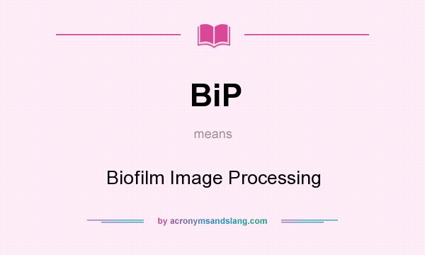 What does BiP mean? It stands for Biofilm Image Processing