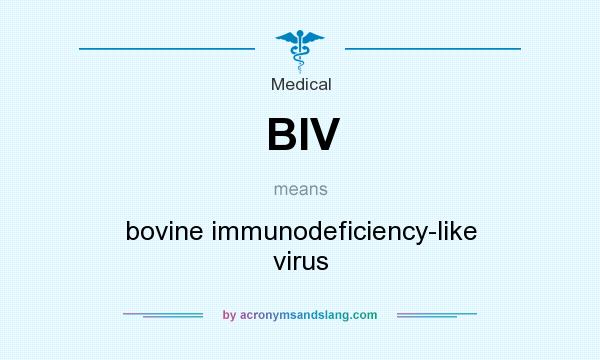 What does BIV mean? It stands for bovine immunodeficiency-like virus