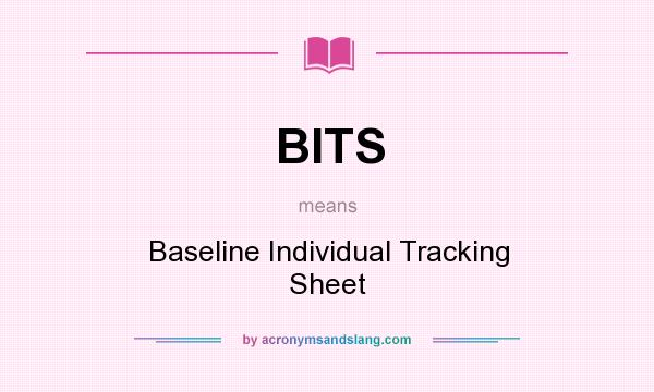 What does BITS mean? It stands for Baseline Individual Tracking Sheet