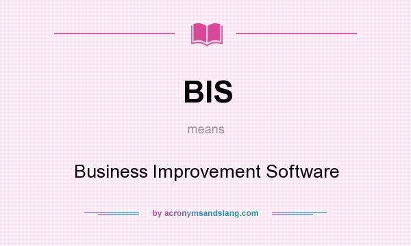 What does BIS mean? It stands for Business Improvement Software