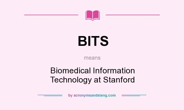 What does BITS mean? It stands for Biomedical Information Technology at Stanford