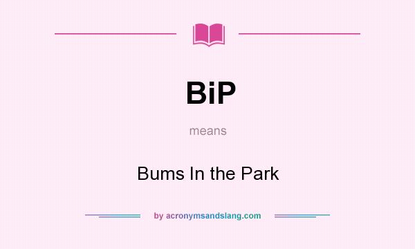 What does BiP mean? It stands for Bums In the Park