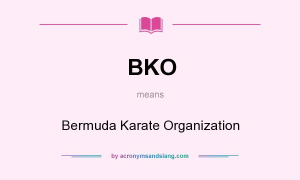 What does BKO mean? It stands for Bermuda Karate Organization