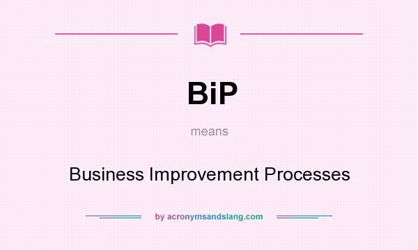 What does BiP mean? It stands for Business Improvement Processes