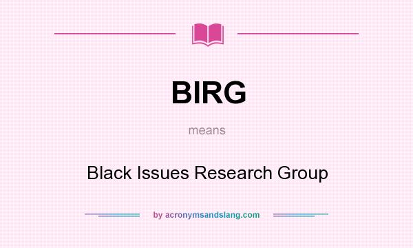 What does BIRG mean? It stands for Black Issues Research Group