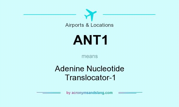 What does ANT1 mean? It stands for Adenine Nucleotide Translocator-1