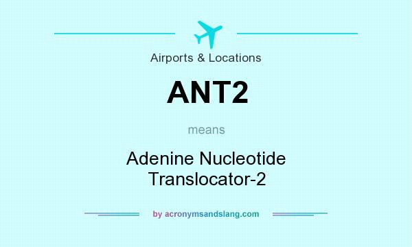 What does ANT2 mean? It stands for Adenine Nucleotide Translocator-2