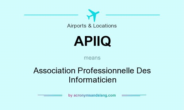 What does APIIQ mean? It stands for Association Professionnelle Des Informaticien