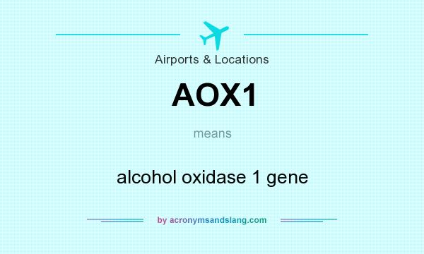 What does AOX1 mean? It stands for alcohol oxidase 1 gene