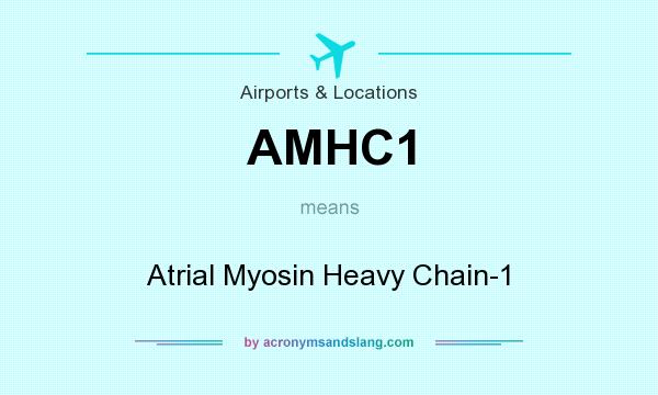 What does AMHC1 mean? It stands for Atrial Myosin Heavy Chain-1