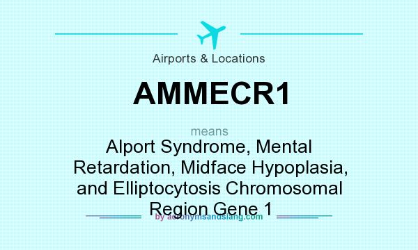 What does AMMECR1 mean? It stands for Alport Syndrome, Mental Retardation, Midface Hypoplasia, and Elliptocytosis Chromosomal Region Gene 1