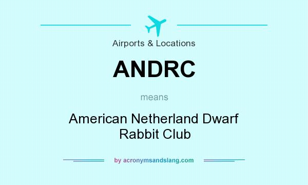 What does ANDRC mean? It stands for American Netherland Dwarf Rabbit Club